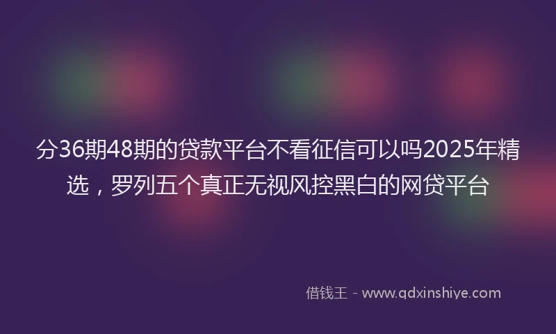 分36期48期的贷款平台不看征信可以吗2025年精选，罗列五个真正无视风控黑白的网贷平台