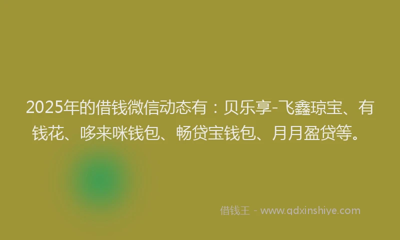 2025年的借钱微信动态有：贝乐享-飞鑫琼宝、有钱花、哆来咪钱包、畅贷宝钱包、月月盈贷等。
