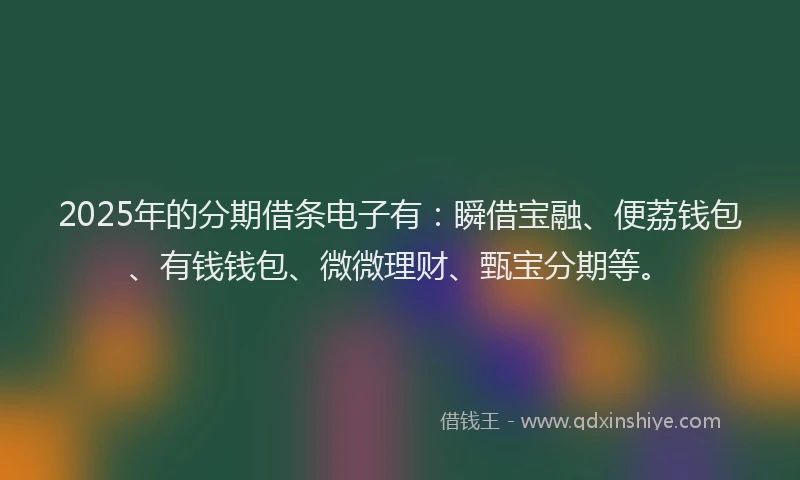 2025年的分期借条电子有：瞬借宝融、便荔钱包、有钱钱包、微微理财、甄宝分期等。