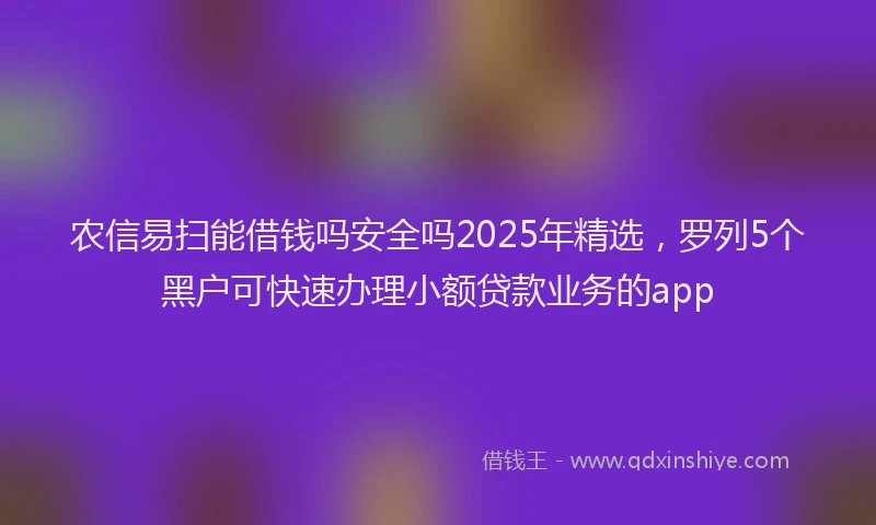 农信易扫能借钱吗安全吗2025年精选，罗列5个黑户可快速办理小额贷款业务的app