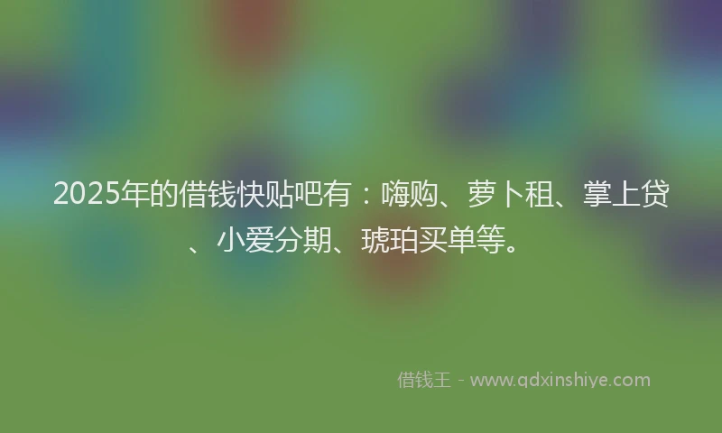 2025年的借钱快贴吧有：嗨购、萝卜租、掌上贷、小爱分期、琥珀买单等。