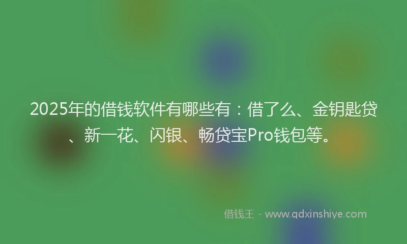 2025年的借钱软件有哪些有：借了么、金钥匙贷、新一花、闪银、畅贷宝Pro钱包等。