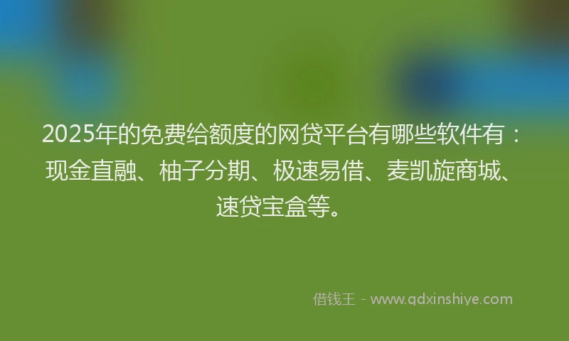 2025年的免费给额度的网贷平台有哪些软件有：现金直融、柚子分期、极速易借、麦凯旋商城、速贷宝盒等。