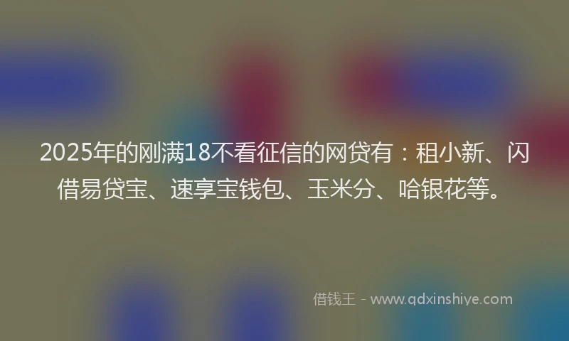 2025年的刚满18不看征信的网贷有：租小新、闪借易贷宝、速享宝钱包、玉米分、哈银花等。