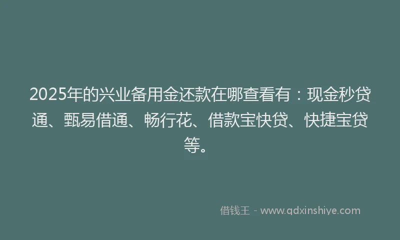 2025年的兴业备用金还款在哪查看有：现金秒贷通、甄易借通、畅行花、借款宝快贷、快捷宝贷等。
