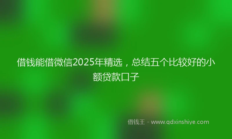 借钱能借微信2025年精选，总结五个比较好的小额贷款口子