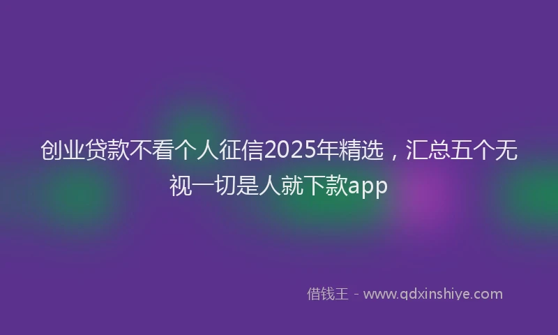 创业贷款不看个人征信2025年精选，汇总五个无视一切是人就下款app