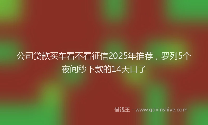 公司贷款买车看不看征信2025年推荐，罗列5个夜间秒下款的14天口子