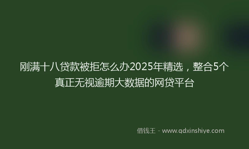 刚满十八贷款被拒怎么办2025年精选，整合5个真正无视逾期大数据的网贷平台