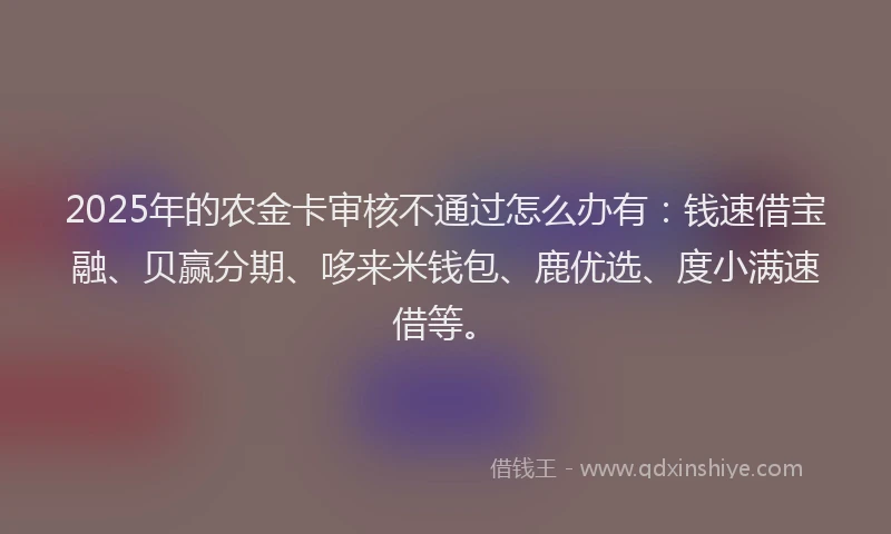 2025年的农金卡审核不通过怎么办有：钱速借宝融、贝赢分期、哆来米钱包、鹿优选、度小满速借等。