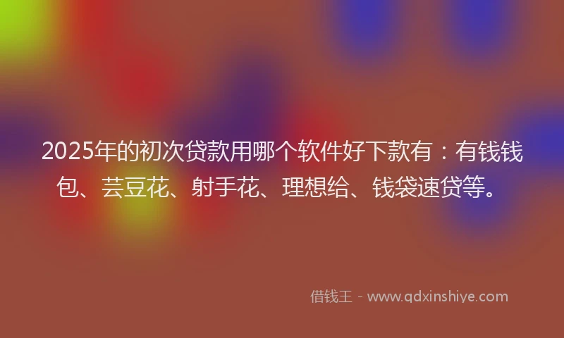 2025年的初次贷款用哪个软件好下款有：有钱钱包、芸豆花、射手花、理想给、钱袋速贷等。