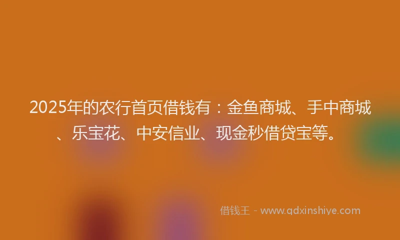 2025年的农行首页借钱有：金鱼商城、手中商城、乐宝花、中安信业、现金秒借贷宝等。