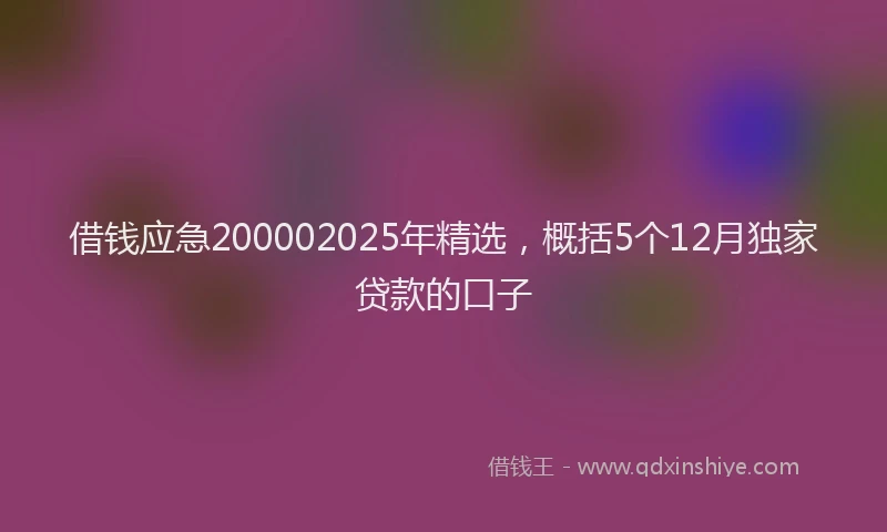 借钱应急200002025年精选，概括5个12月独家贷款的口子
