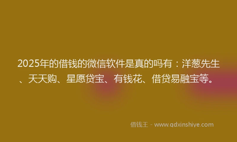 2025年的借钱的微信软件是真的吗有：洋葱先生、天天购、星愿贷宝、有钱花、借贷易融宝等。