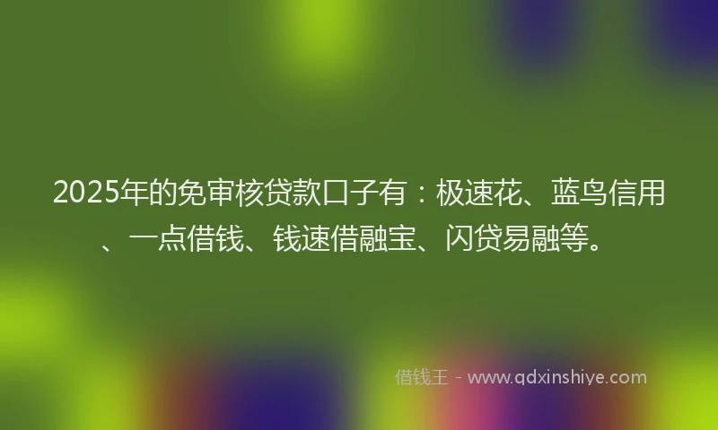 2025年的免审核贷款口子有：极速花、蓝鸟信用、一点借钱、钱速借融宝、闪贷易融等。