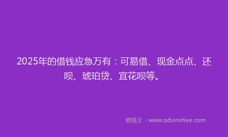 2025年的借钱应急万有：可易借、现金点点、还呗、琥珀贷、宜花呗等。