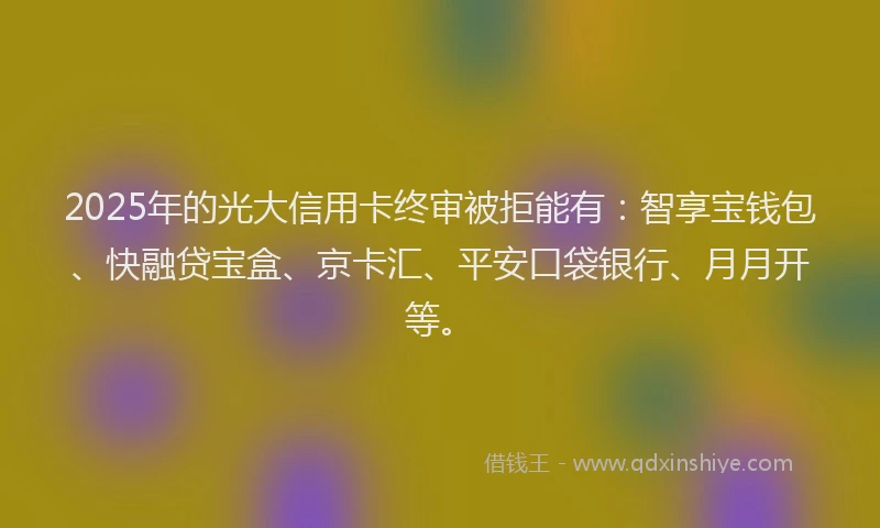 2025年的光大信用卡终审被拒能有：智享宝钱包、快融贷宝盒、京卡汇、平安口袋银行、月月开等。