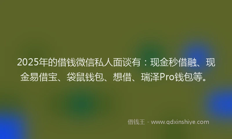2025年的借钱微信私人面谈有：现金秒借融、现金易借宝、袋鼠钱包、想借、瑞泽Pro钱包等。