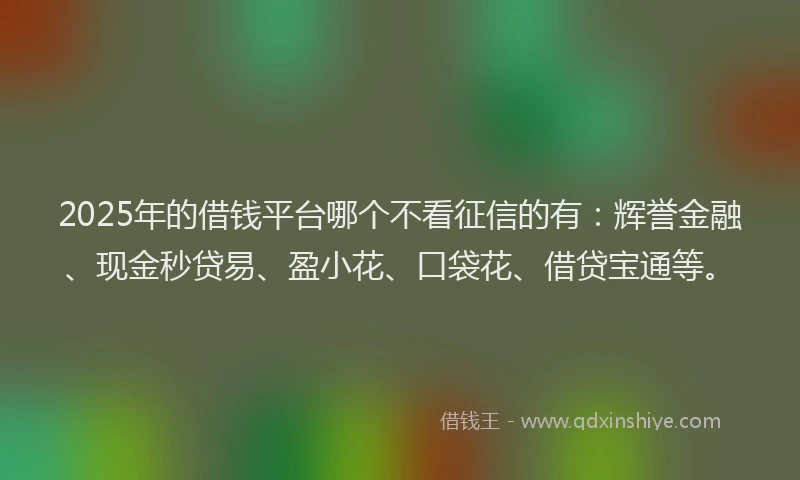 2025年的借钱平台哪个不看征信的有：辉誉金融、现金秒贷易、盈小花、口袋花、借贷宝通等。