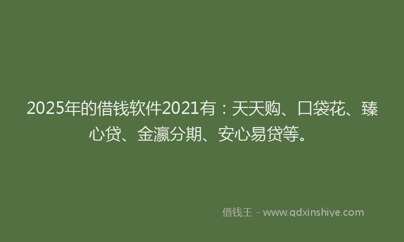2025年的借钱软件2021有：天天购、口袋花、臻心贷、金瀛分期、安心易贷等。