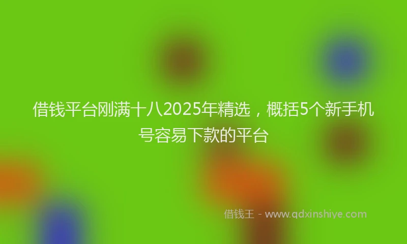 借钱平台刚满十八2025年精选，概括5个新手机号容易下款的平台