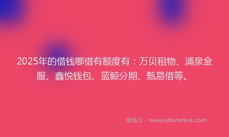 2025年的借钱哪借有额度有：万贝租物、涌泉金服、鑫悦钱包、蓝鲸分期、甄易借等。