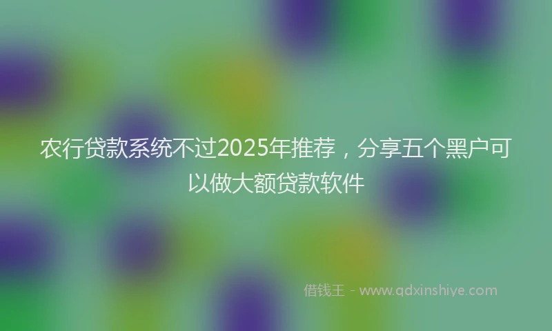 农行贷款系统不过2025年推荐，分享五个黑户可以做大额贷款软件
