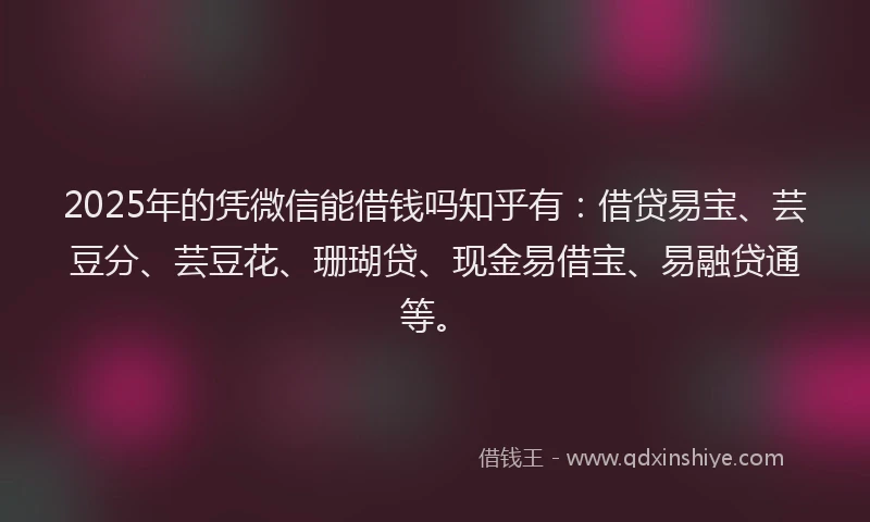 2025年的凭微信能借钱吗知乎有：借贷易宝、芸豆分、芸豆花、珊瑚贷、现金易借宝、易融贷通等。