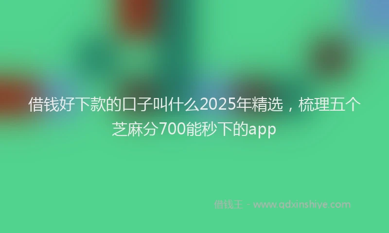 借钱好下款的口子叫什么2025年精选，梳理五个芝麻分700能秒下的app