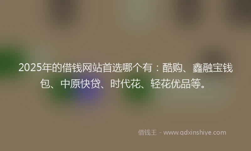 2025年的借钱网站首选哪个有：酷购、鑫融宝钱包、中原快贷、时代花、轻花优品等。