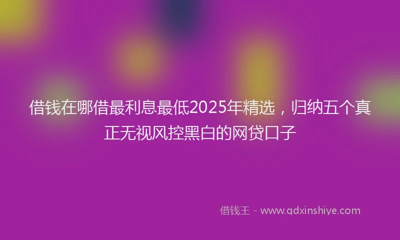 借钱在哪借最利息最低2025年精选，归纳五个真正无视风控黑白的网贷口子