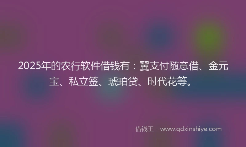 2025年的农行软件借钱有：翼支付随意借、金元宝、私立签、琥珀贷、时代花等。