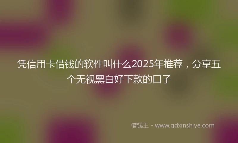 凭信用卡借钱的软件叫什么2025年推荐，分享五个无视黑白好下款的口子