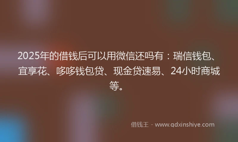 2025年的借钱后可以用微信还吗有：瑞信钱包、宜享花、哆哆钱包贷、现金贷速易、24小时商城等。