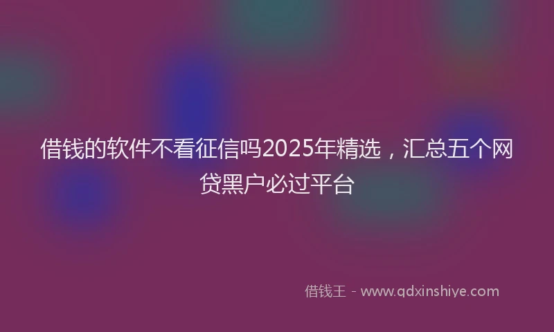 借钱的软件不看征信吗2025年精选，汇总五个网贷黑户必过平台