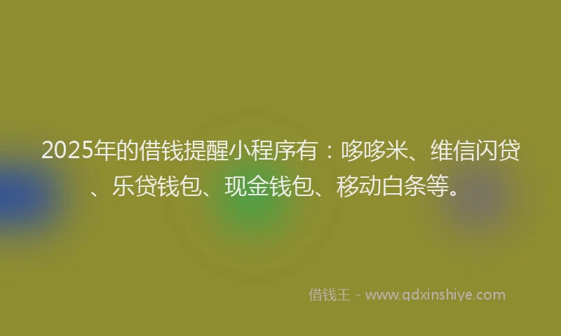 2025年的借钱提醒小程序有：哆哆米、维信闪贷、乐贷钱包、现金钱包、移动白条等。