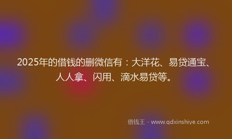 2025年的借钱的删微信有：大洋花、易贷通宝、人人拿、闪用、滴水易贷等。