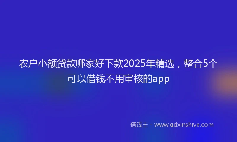 农户小额贷款哪家好下款2025年精选，整合5个可以借钱不用审核的app