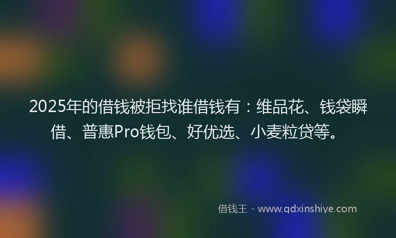 2025年的借钱被拒找谁借钱有：维品花、钱袋瞬借、普惠Pro钱包、好优选、小麦粒贷等。