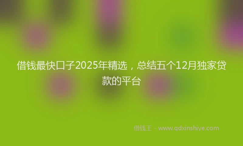 借钱最快口子2025年精选，总结五个12月独家贷款的平台
