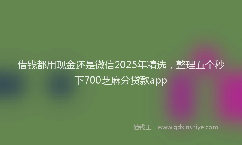借钱都用现金还是微信2025年精选，整理五个秒下700芝麻分贷款app