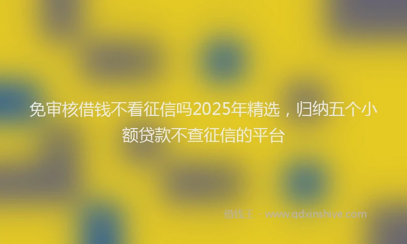 免审核借钱不看征信吗2025年精选，归纳五个小额贷款不查征信的平台