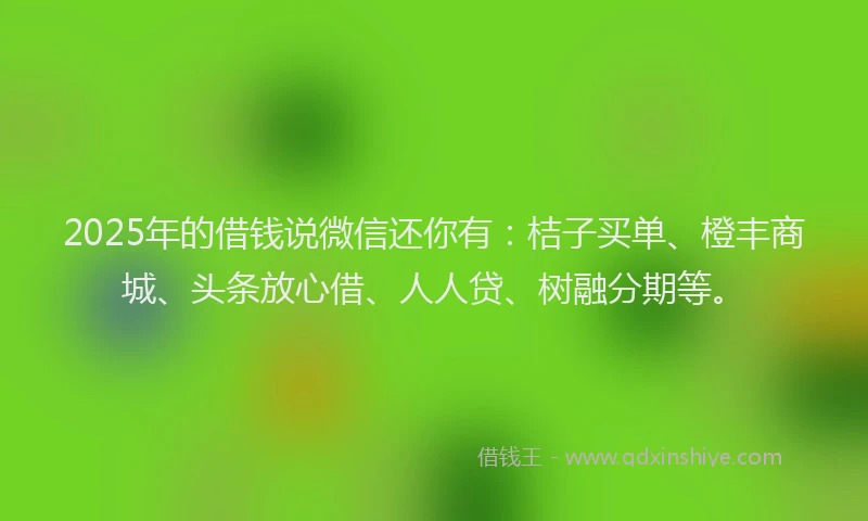 2025年的借钱说微信还你有：桔子买单、橙丰商城、头条放心借、人人贷、树融分期等。