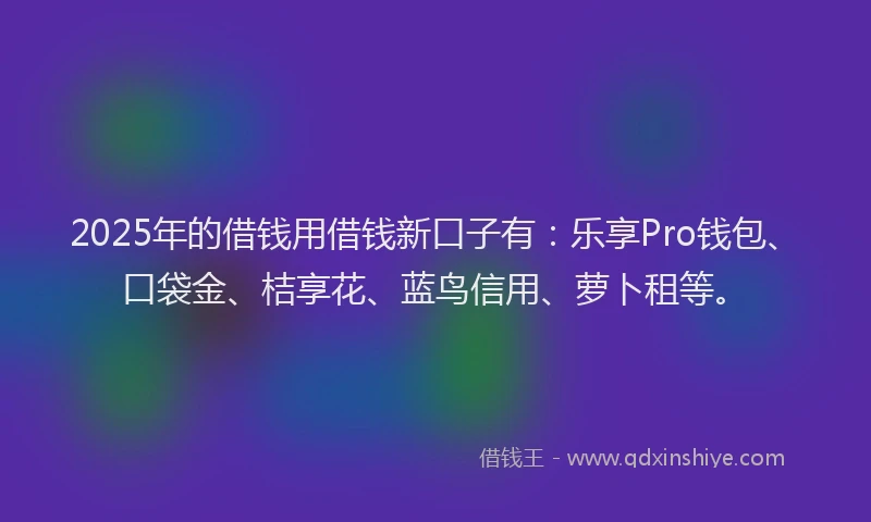2025年的借钱用借钱新口子有：乐享Pro钱包、口袋金、桔享花、蓝鸟信用、萝卜租等。