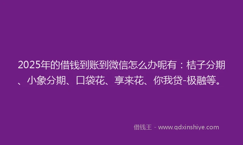 2025年的借钱到账到微信怎么办呢有：桔子分期、小象分期、口袋花、享来花、你我贷-极融等。