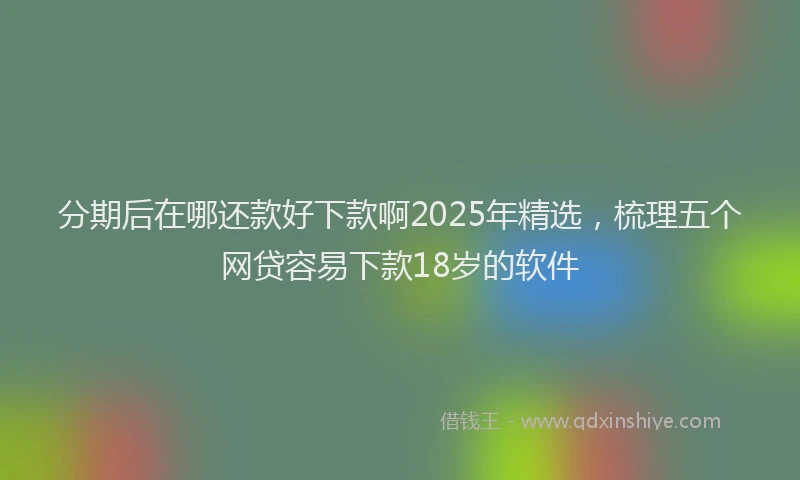 分期后在哪还款好下款啊2025年精选，梳理五个网贷容易下款18岁的软件