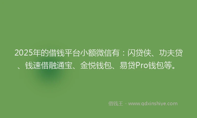 2025年的借钱平台小额微信有：闪贷侠、功夫贷、钱速借融通宝、金悦钱包、易贷Pro钱包等。
