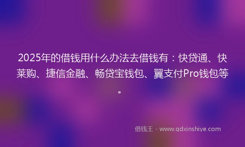 2025年的借钱用什么办法去借钱有：快贷通、快莱购、捷信金融、畅贷宝钱包、翼支付Pro钱包等。