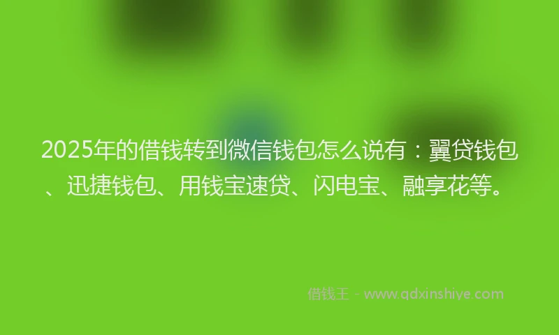 2025年的借钱转到微信钱包怎么说有：翼贷钱包、迅捷钱包、用钱宝速贷、闪电宝、融享花等。
