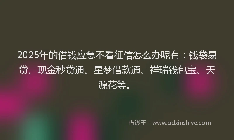 2025年的借钱应急不看征信怎么办呢有：钱袋易贷、现金秒贷通、星梦借款通、祥瑞钱包宝、天源花等。